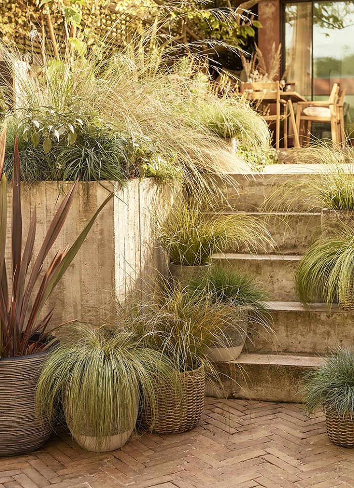 Dobbies Highlights Top Plant And Gardening Trends For 2022